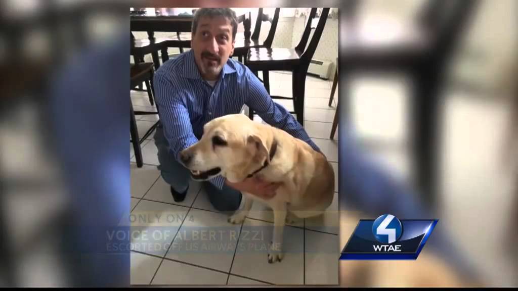 Blind man kicked off flight becasue of service dog