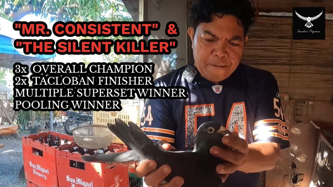 PANDI BULACAN PIGEON FANCIER CONSISTENT WINNER REVEALS HIS SECRET