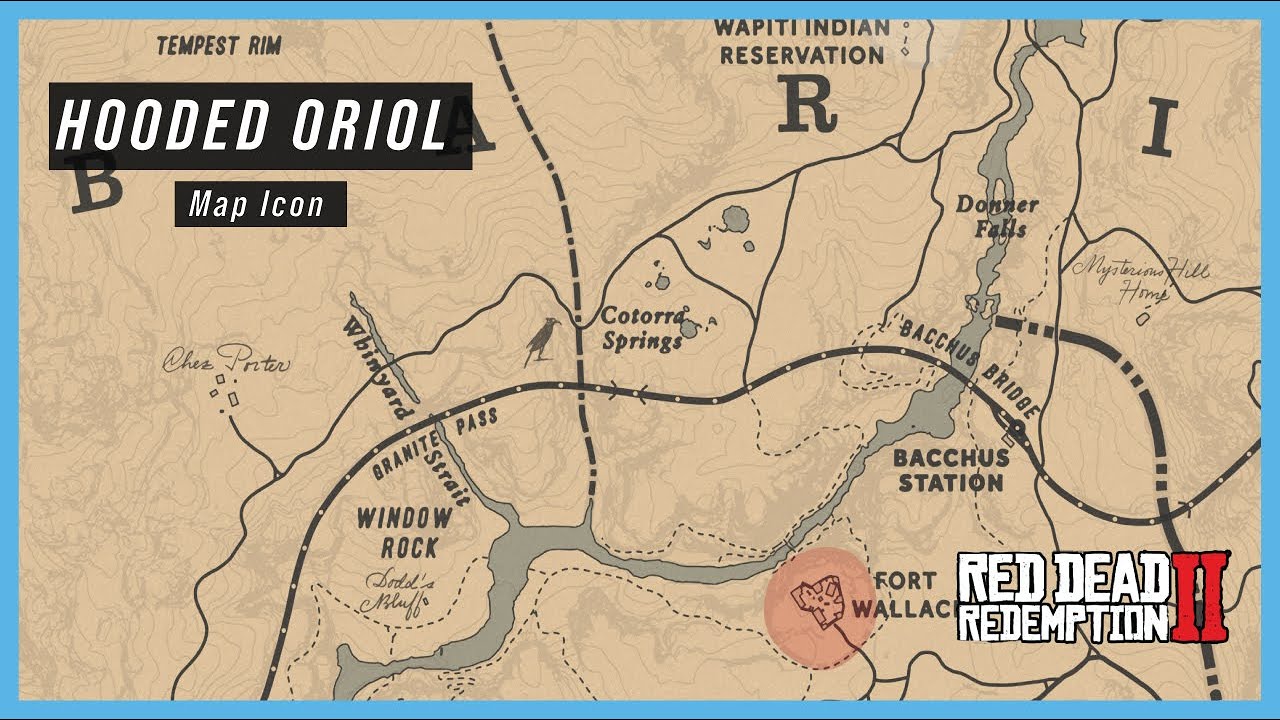 How to Reveal the Hooded Oriol Map Icon at Cotorra Springs!