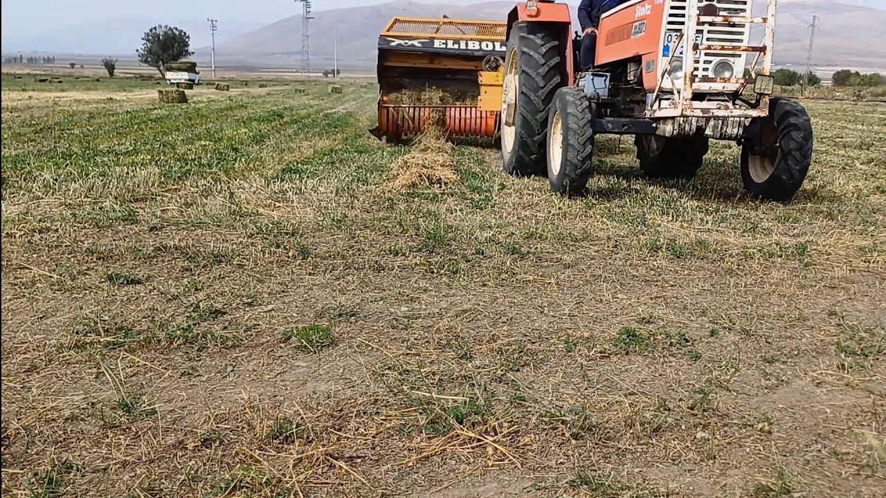 Yonca hasat işlemleri ve getirisi.