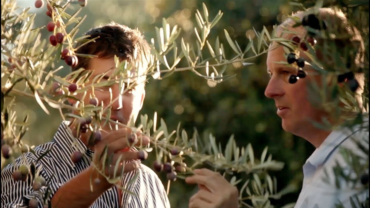 Cobram Estate | Hojiblanca and Picual Extra Virgin Olive Oil