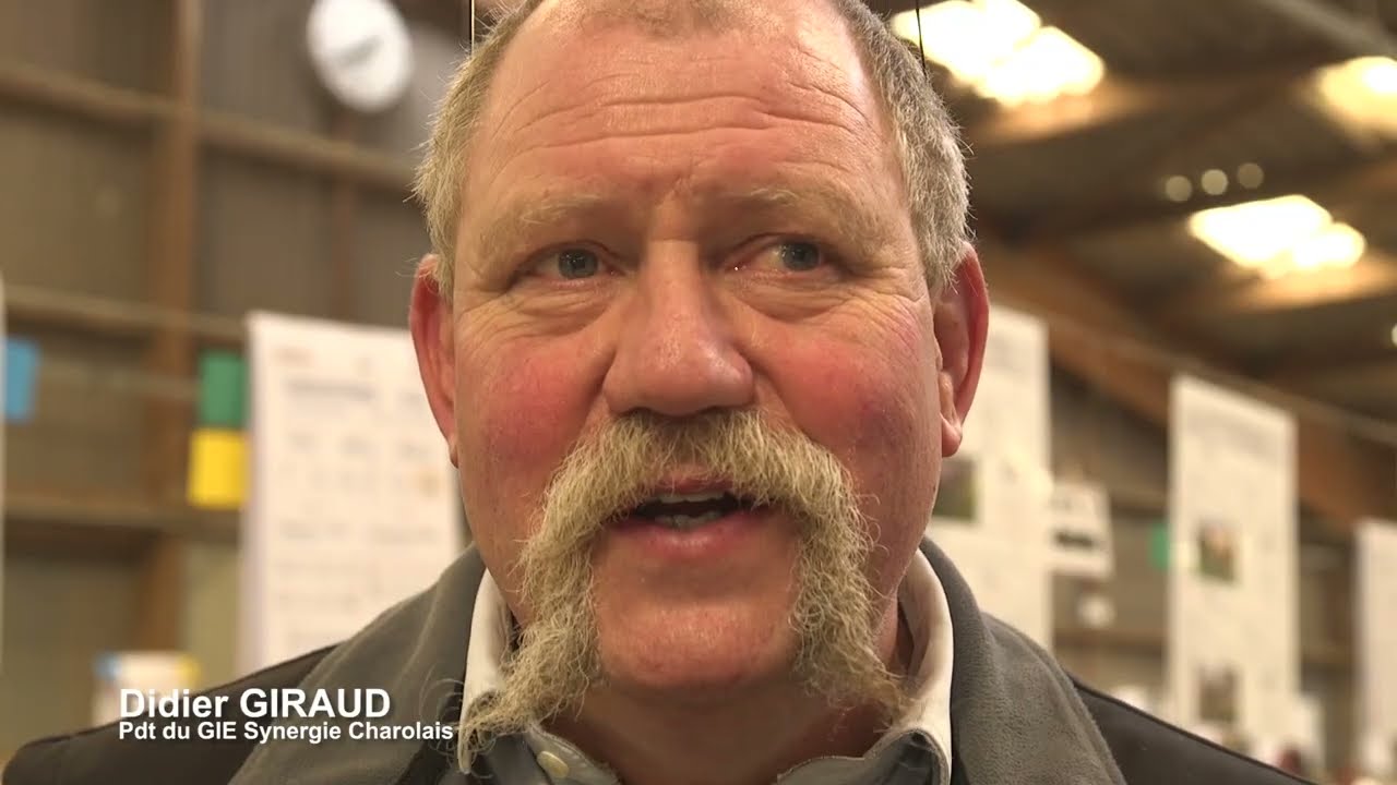 VENTE AUX ENCHÈRES DU  GIE SYNERGIE CHAROLAIS 2025