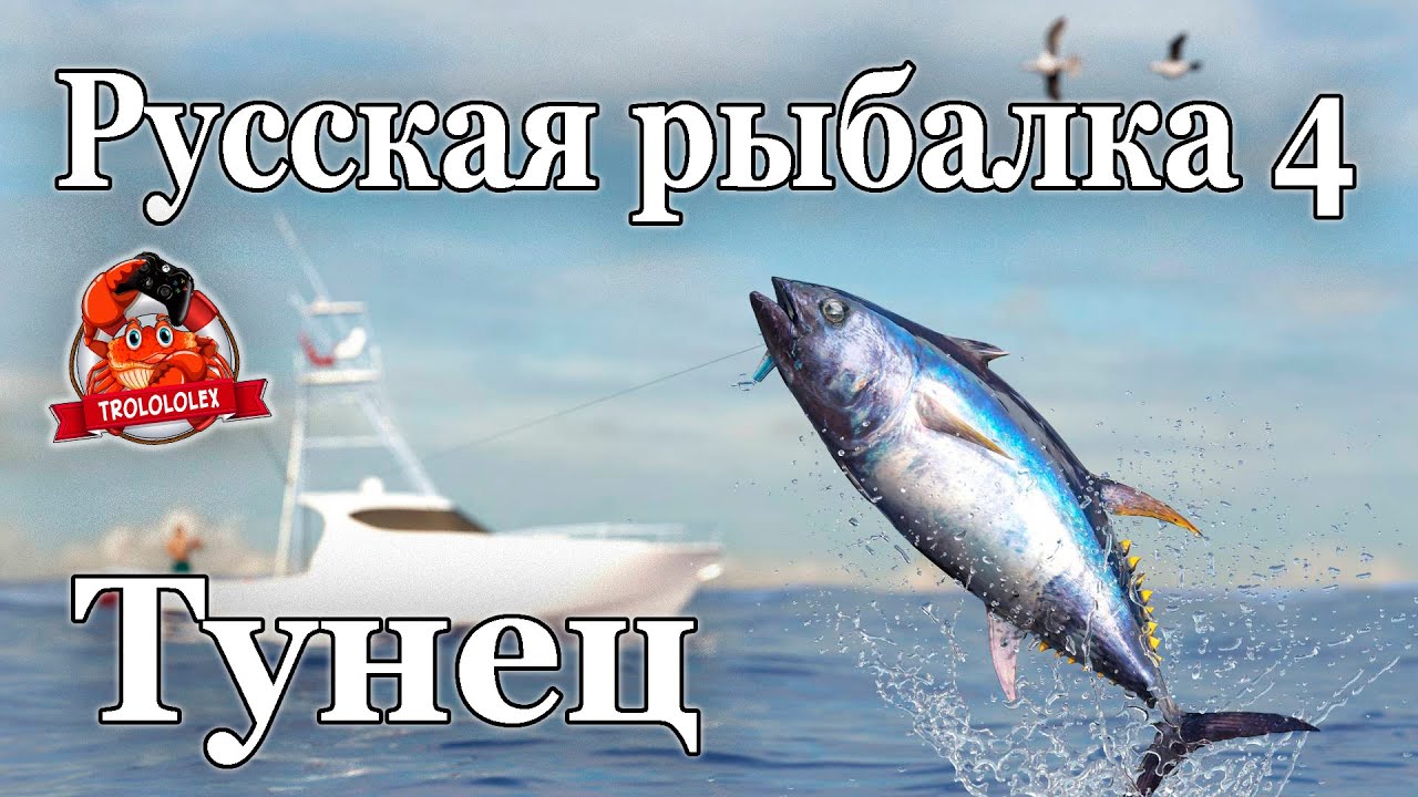 Русская рыбалка 4 Тунец и акула гренландская