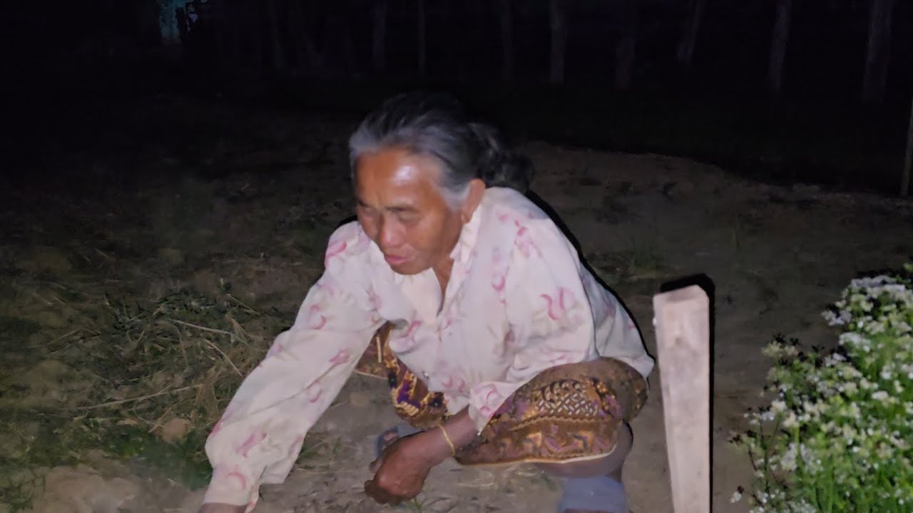 สาวเอื้อยแก่ของมาเต็มชาเล่งยายเงิงรับข่าวดีตาพรามงุมมืดดูดน้ำใส่สวนสาลี