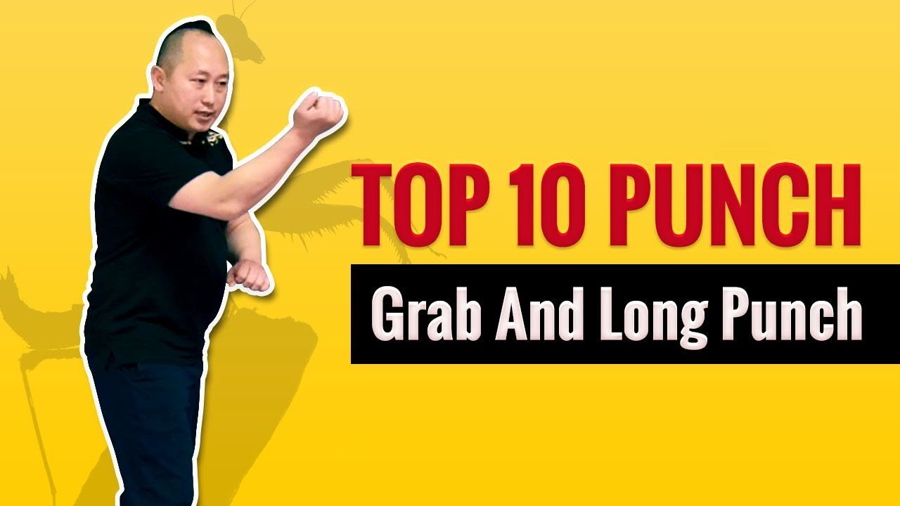 Top 10 Kung Fu Punching Technique For Beginners #1