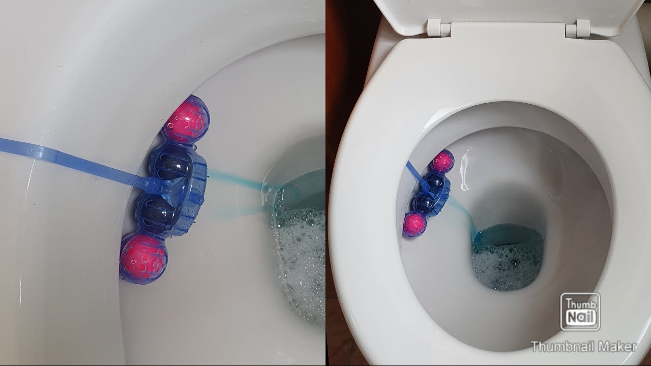 How to use Bloo Colour Active+ Fresh Flowers WC block/ Toilet block