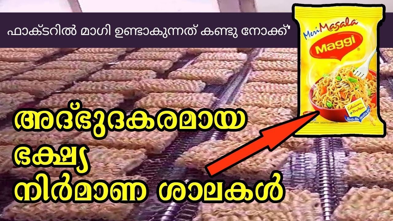 മാഗി ഉണ്ടാകുന്നത് എങ്ങനെ എന്ന് അറിയാമോ 😋 ? അദ്‌ഭുദകരമായ 10 ഭക്ഷ്യ നിർമാണ ശാലകൾ