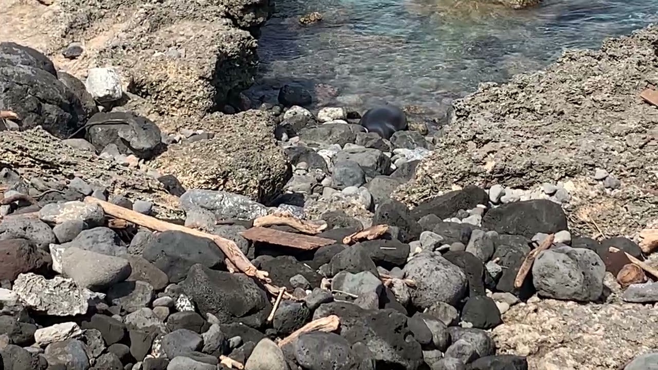 Ka’ena point state park, O’ahu