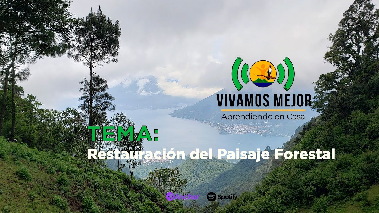 Restauración del Paisaje Forestal 16.06.2021