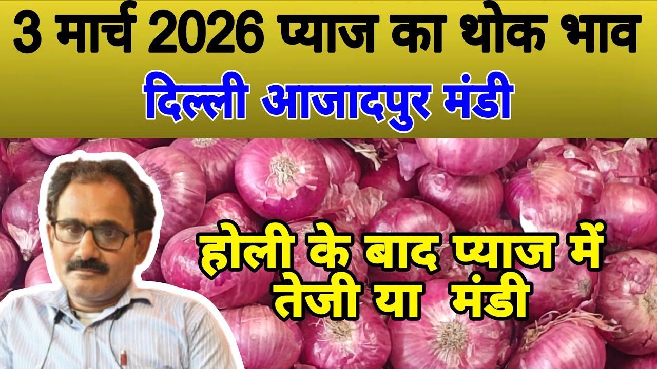 होली के बाद प्याज में तेजी या  मंडी | Today onion price | pyaj ka bhav #onionrate #pyaj #onion