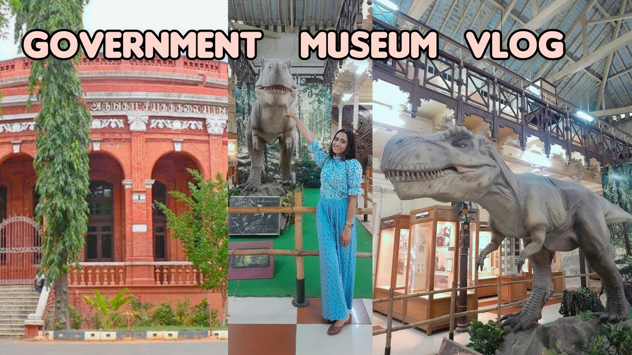 Government Museum Vlog 🏤🦕 | Chennai | Travel Vlog #museumvlog #education #travelvlog #chillwithdivu 