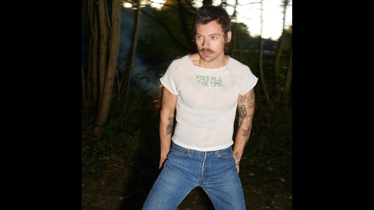Harry Styles - Aperture [DJ Edson Special Extended Version]