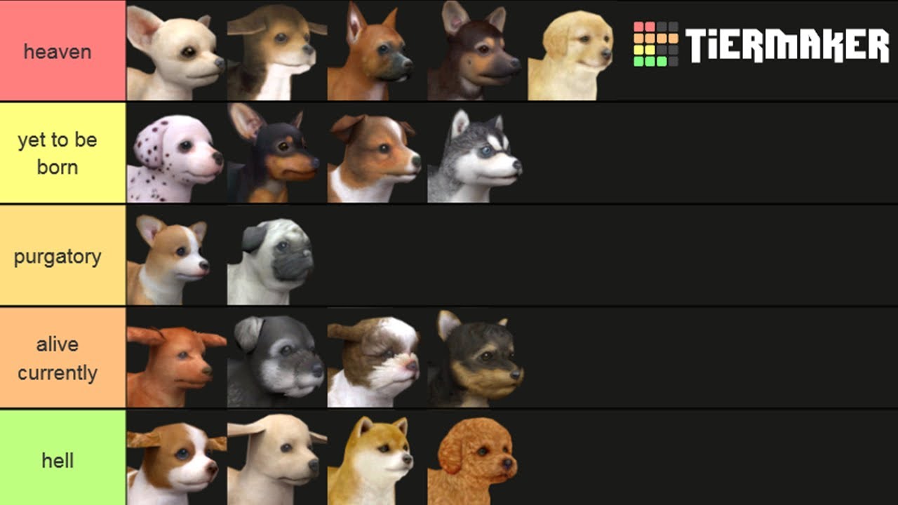destroying every tier list w hazel