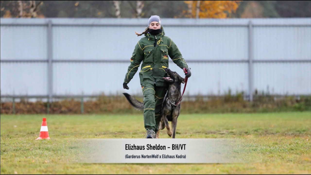 Elizhaus Sheldon - BH/VT