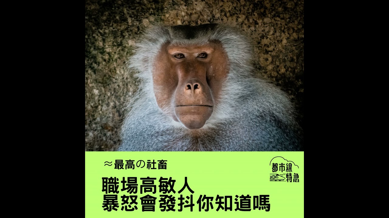 S➂EPO5▶最高の社畜▶職場高敏人最怕內耗？軟心肝上班族只求問心無愧 ft. 小鳥茵