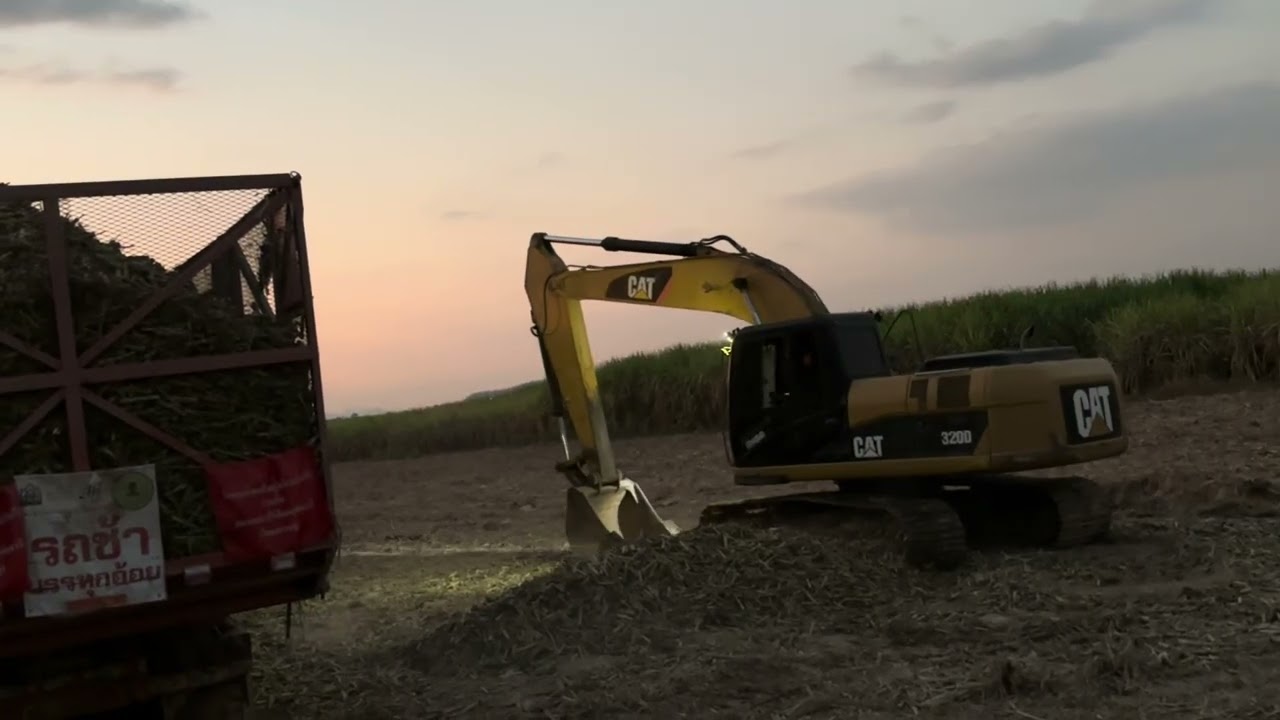 CAT320D