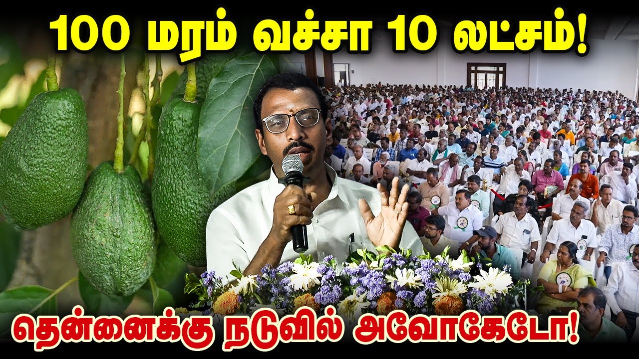 100 அவகேடோ மரத்தில் 10 லட்சம்! தென்னைக்கு நடுவில் ஊடுபயிர்!