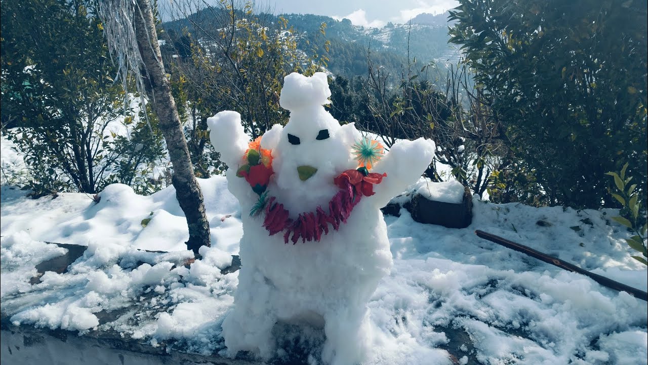 कितनी सारी बर्फ गिरी है पहाड़ों में बर्फ का नजारा जरूर देखना दोस्तों