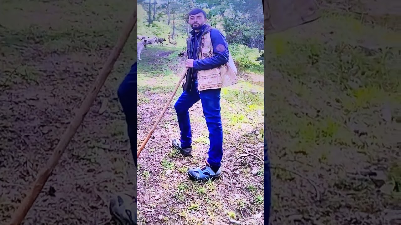 Anadoluda  yaşam cobanlık yaptığım  günlerden 