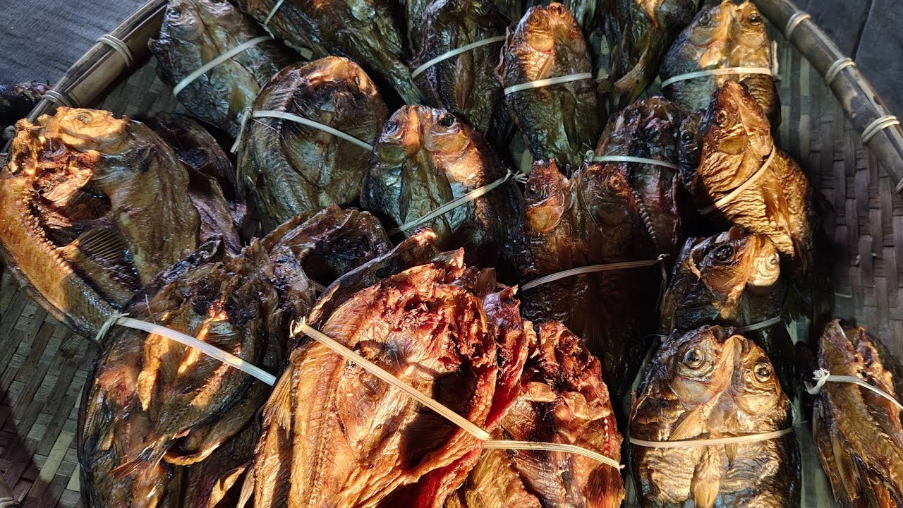 บ่าวเฮียงหมานหมูป่าสามตัวลงจากป่า//ບ່າວຮຽງຫມານໝູປ່າສາມໂຕລົງຈາກປ່າ//Phurda ภูรดา สาวลาว🇱🇦