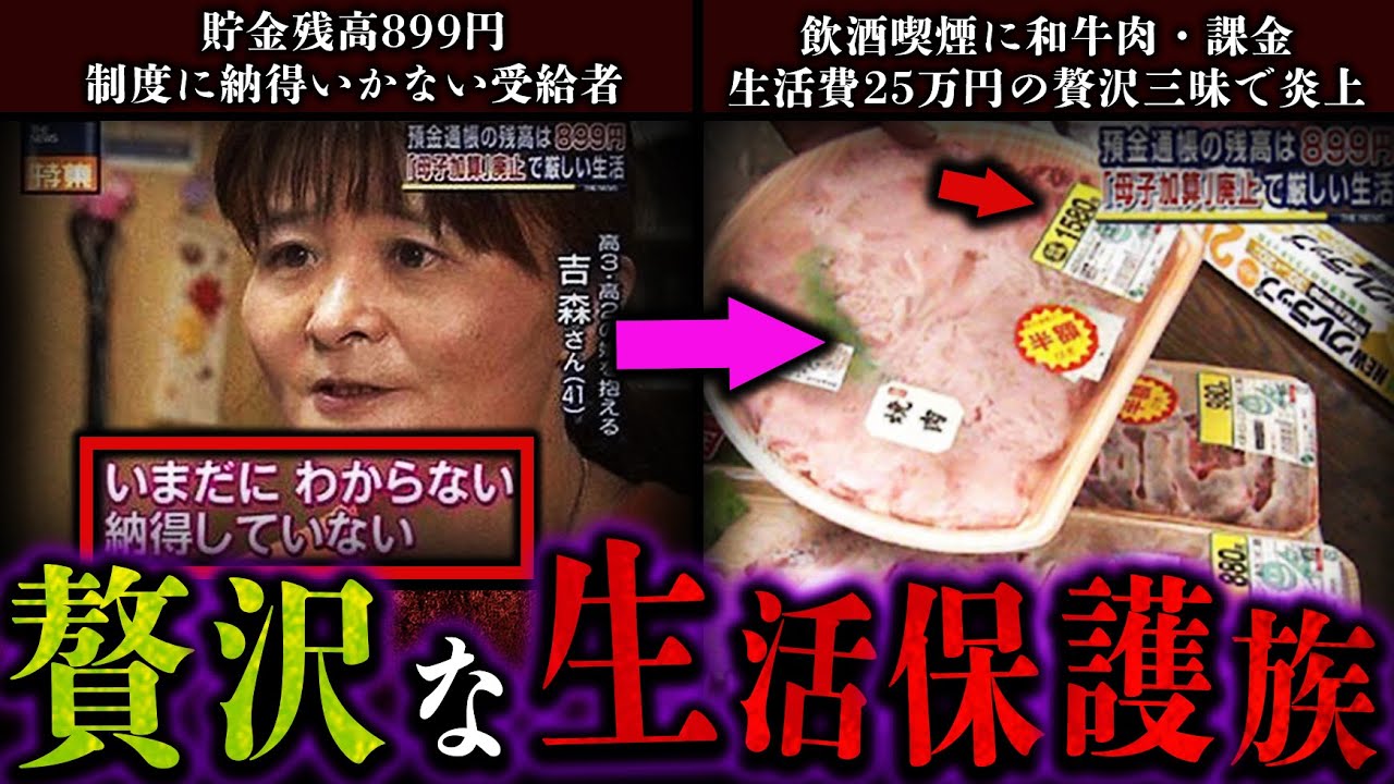 【ゆっくり解説】大炎上騒動のセレブな生活保護受給者達をゆっくり解説！