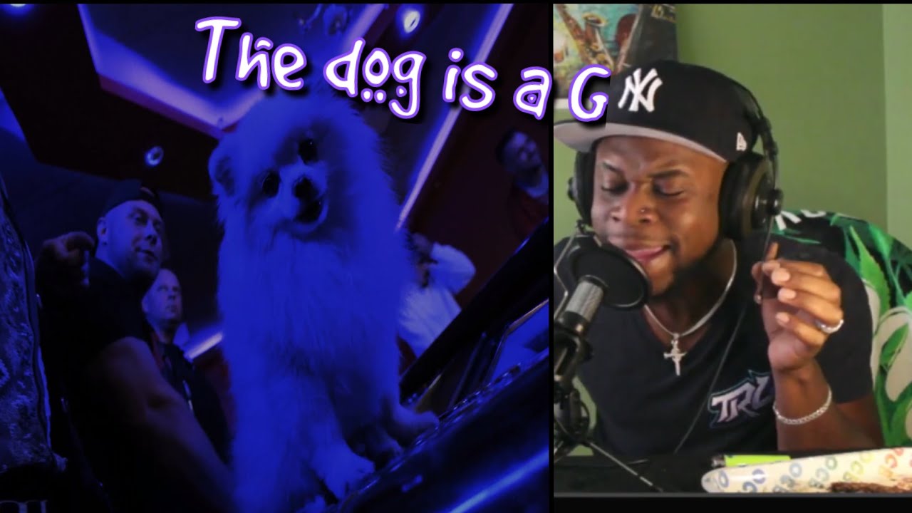 TRL Reaction / 2115   KETCHUP 🩸🩸🩸ft.  Bedoes 2115, Blacha 2115, White 2115, Kuqe 2115 (PolishRap)