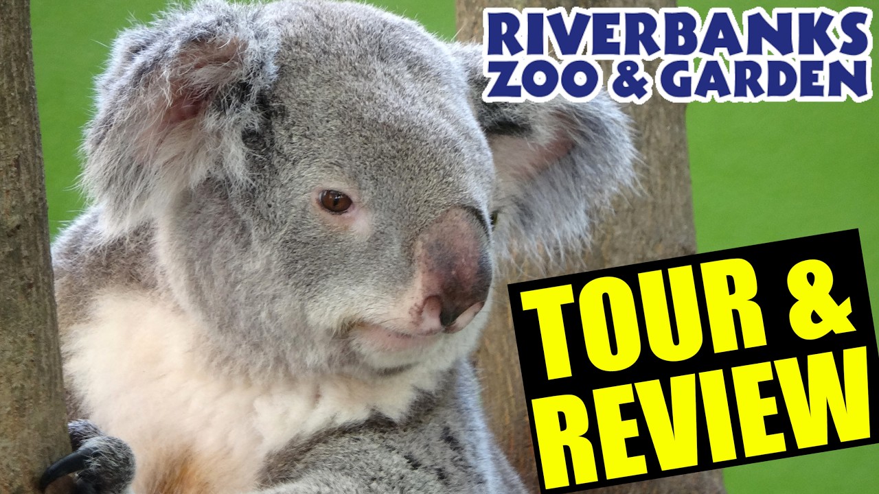 Riverbanks Zoo 2025 Tour & Review with The Legend