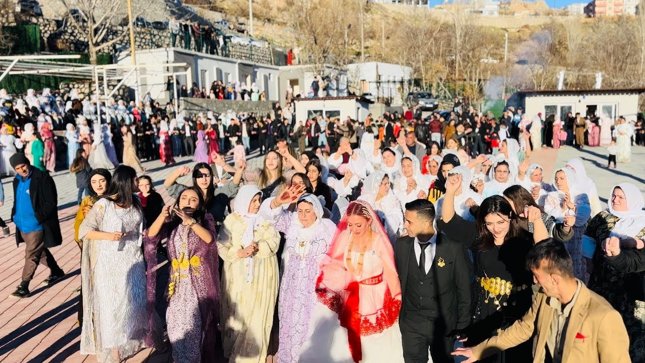 İSLAM ❣️BAKAY DÜĞÜNÜ PART1 2024 Lütfen abone olalım #şirnakdüğünleri