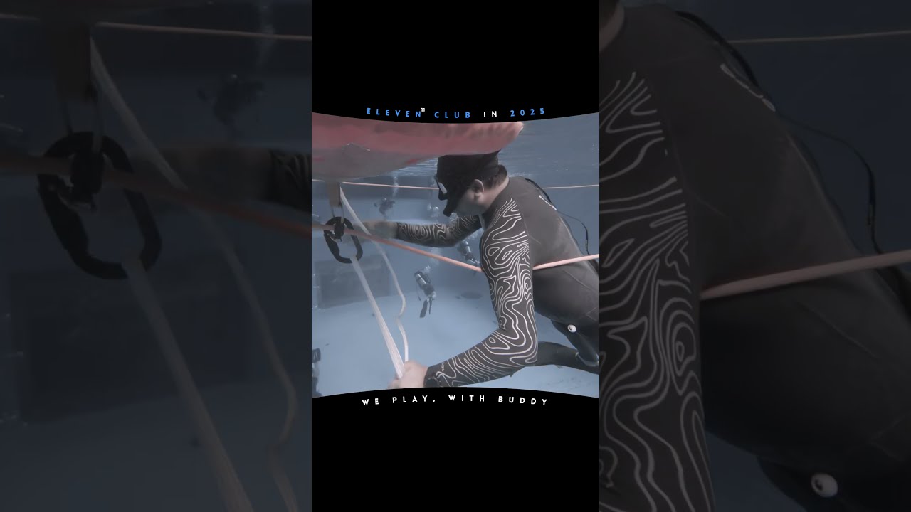 Eleven's Record in 2025 