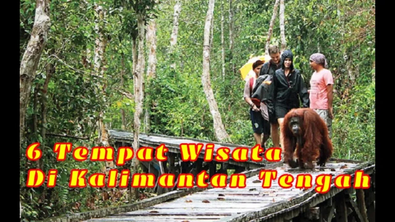 6 TEMPAT WISATA DI KALIMANTAN TENGAH YANG WAJIB DI KUNJUNGI __ KAL-TENG