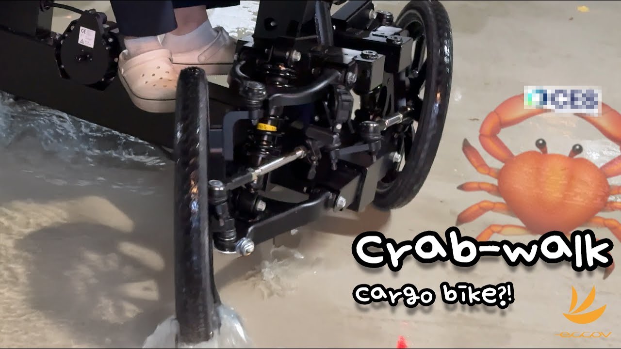 Chanllenging new Cargo bike 2ㅣEccov