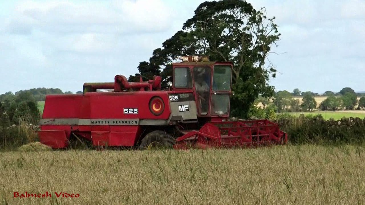 Harvesting the Barley with MF 525 Combine.