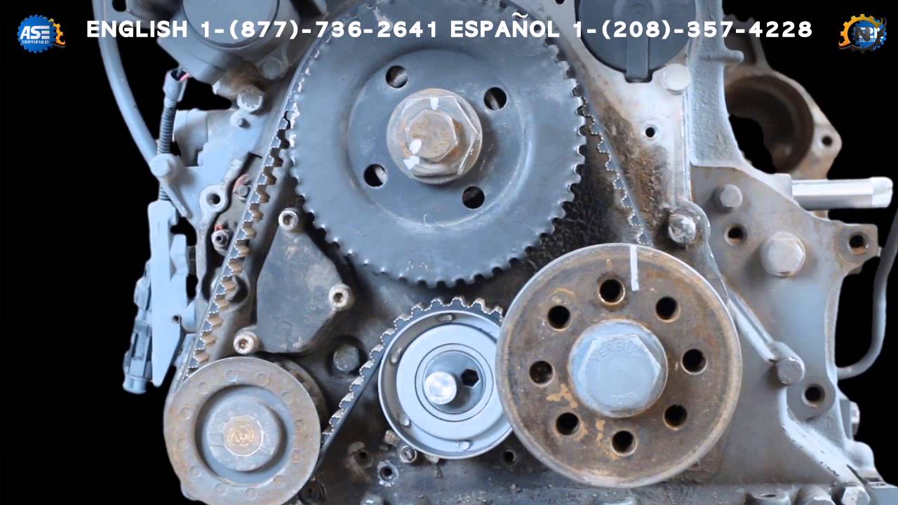Cambio Correa Distribucion/Banda del Tiempo DEUTZ 1011