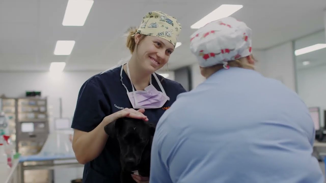 Veterinary Trauma Centres at SASH