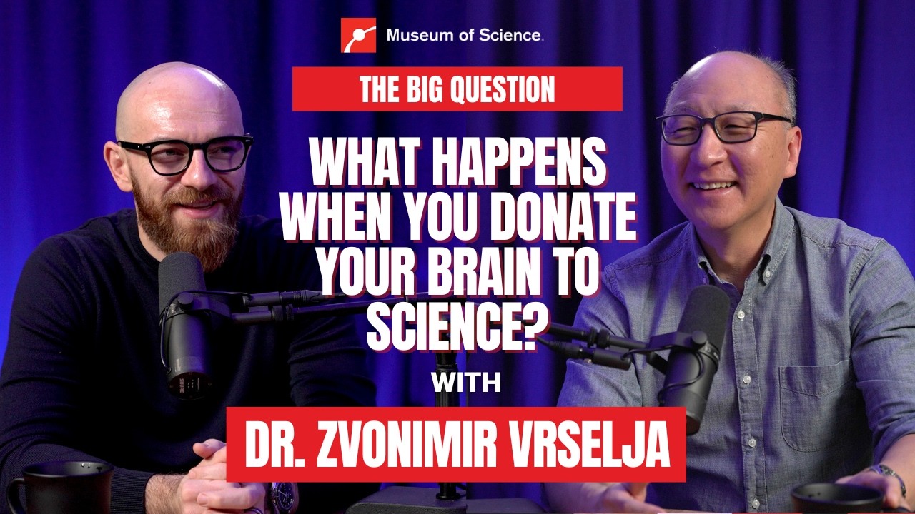 Brain Activity After Death? The Alzheimer’s Breakthrough