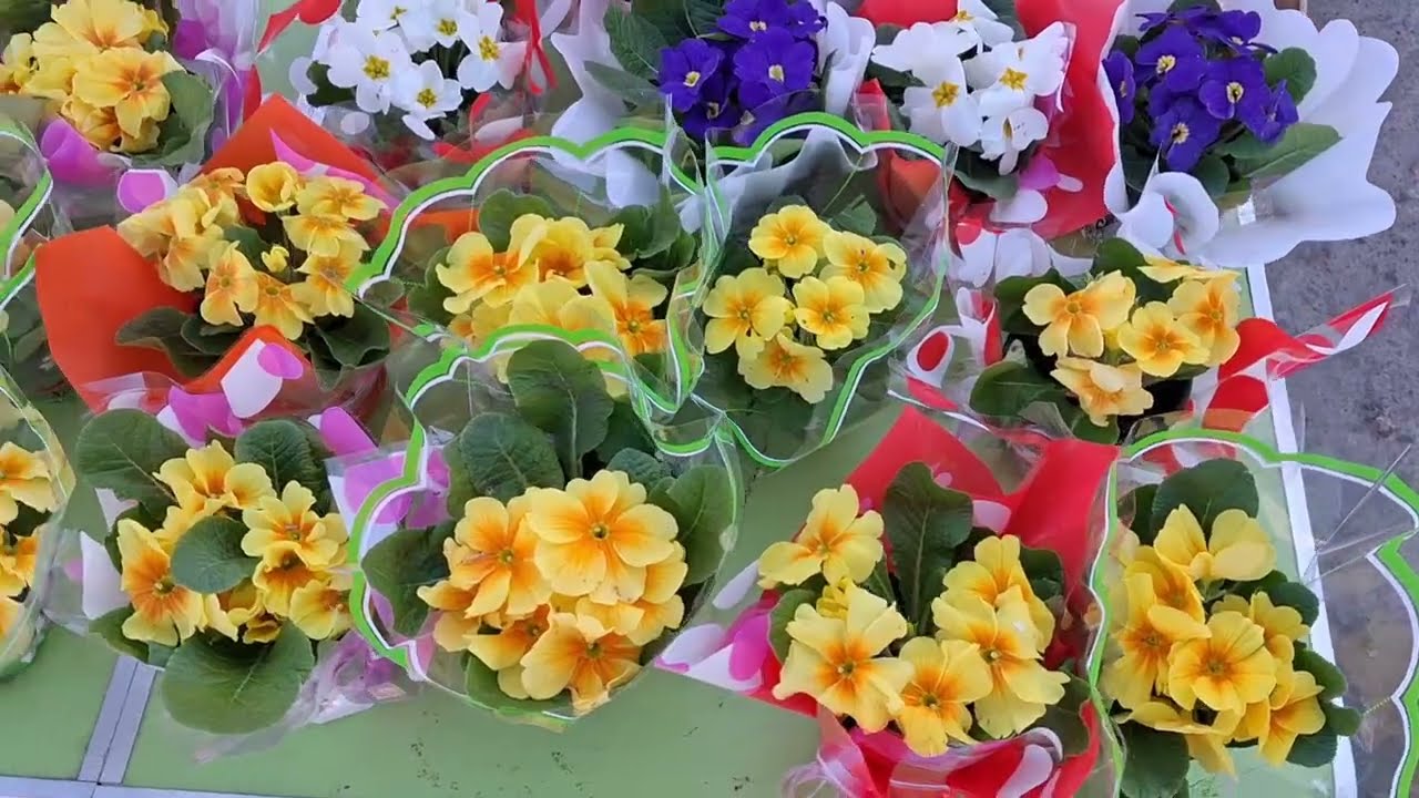 Скільки коштують квіти 8 березня на місцевому базарчику?🌸🪻🌷🌼🌻