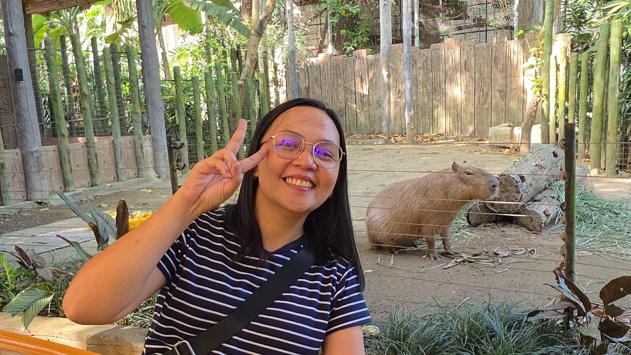 Our Avalon Zoo experience