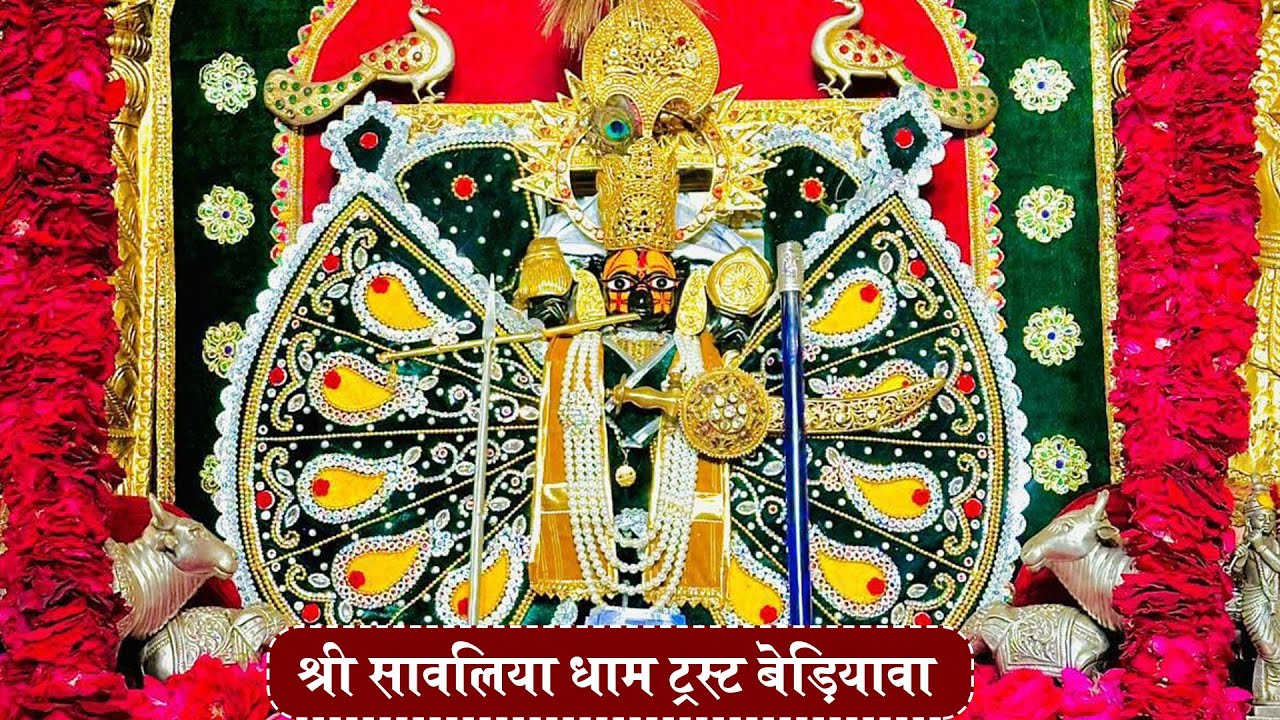 Live श्री सावलिया धाम बेड़ियाव