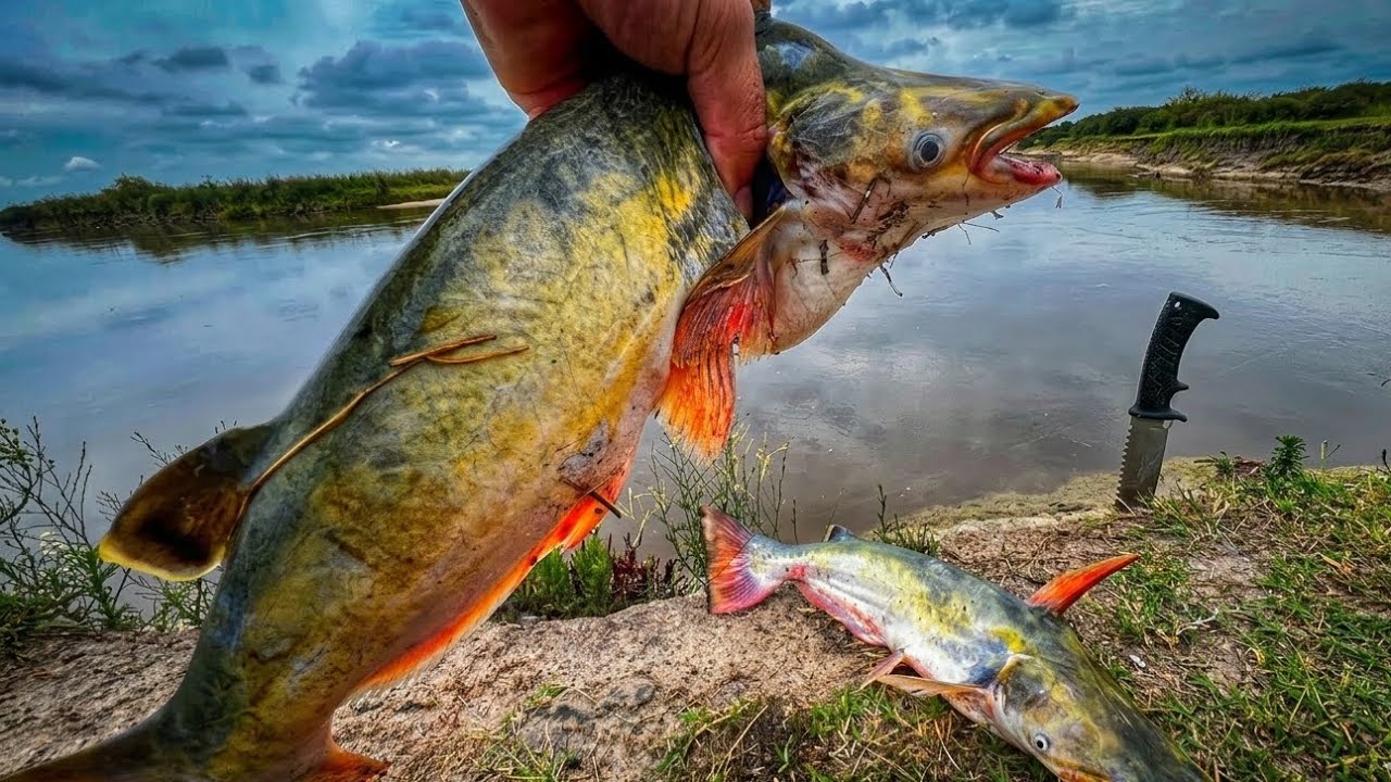  Manduvi GIGANTES, Increíble PESCA caminata, campo y naturaleza 