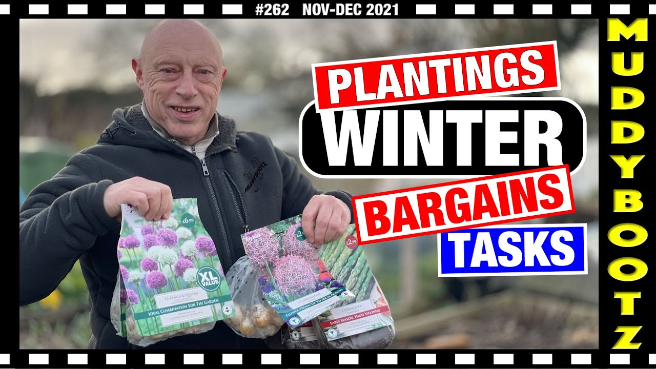 🌻262 🌻 PLANTING SHALLOTS 🌻 WINTER CROPS 🌻 BARGAIN BULBS 🌻