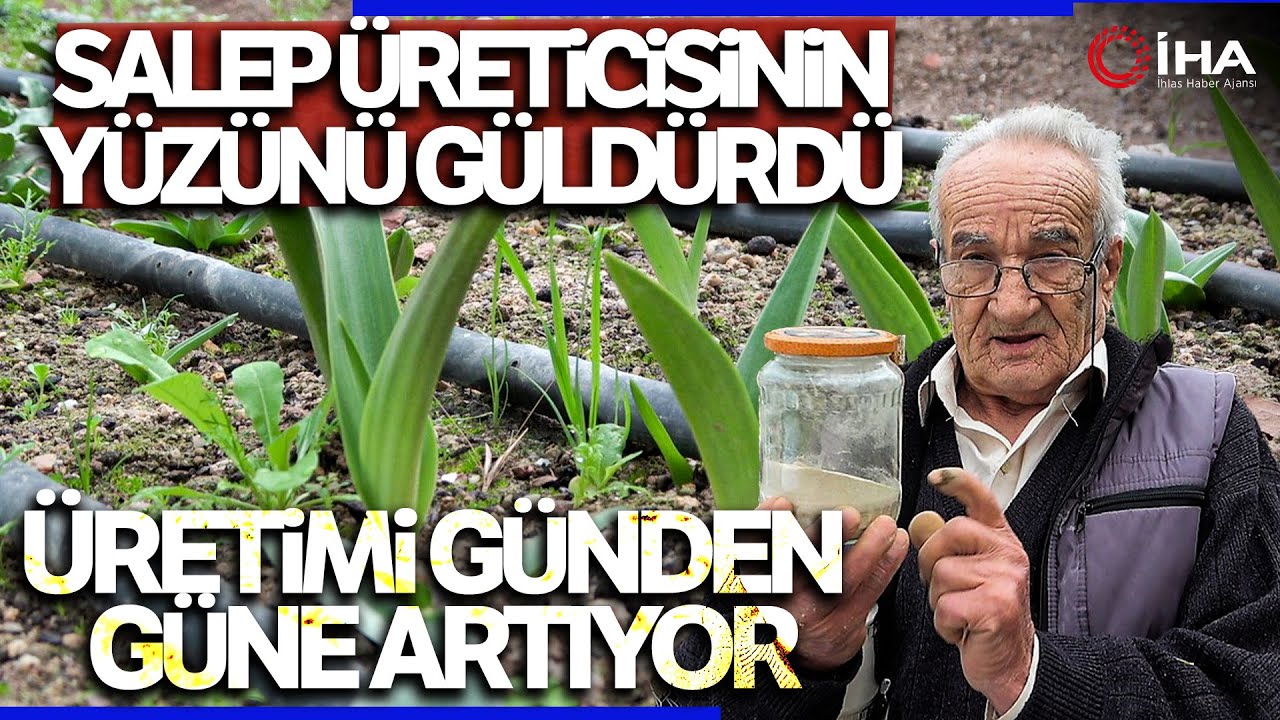 Şifa Dolusu Salep Kış Aylarının Vazgeçilmezi Oldu