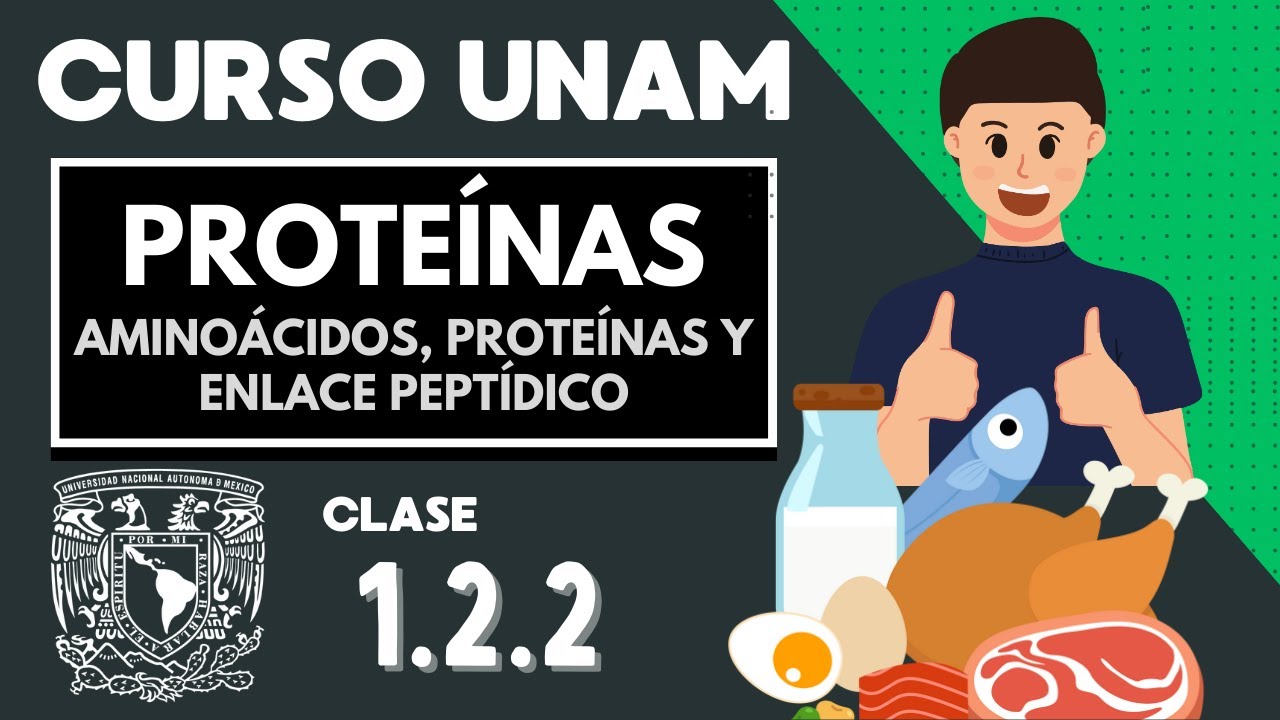 🌱 PROTE&Iacute;NAS | CURSO UNAM | Amino&aacute;cidos | Mol&eacute;culas org&aacute;nicas | Fibrosas y complejas
