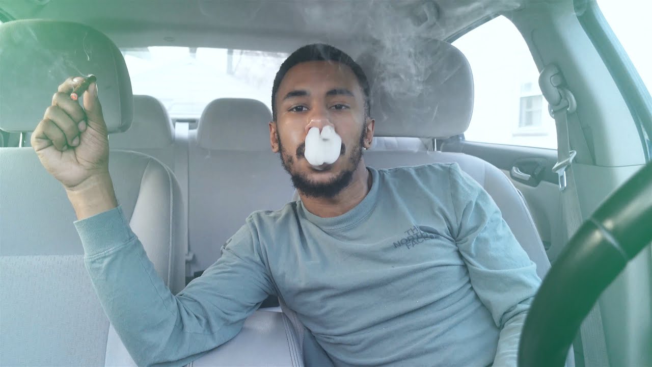 Throwback Berry Fusion Dutch Smoke Sesh