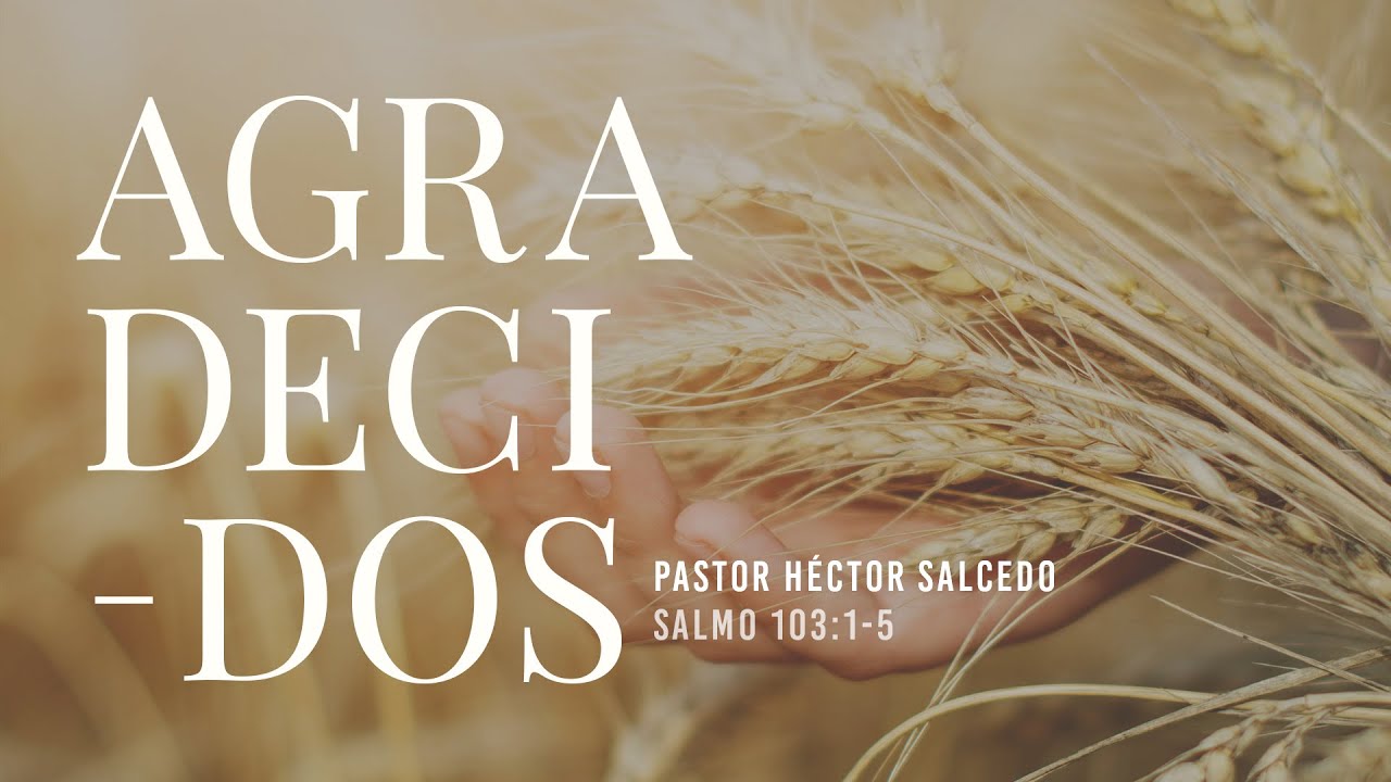 ¡Agradecidos! - Pastor Héctor Salcedo (La IBI)
