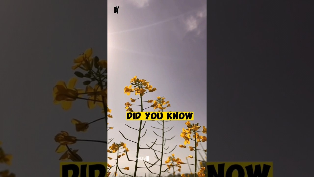 The Secret Language of Plants Invisible Communication