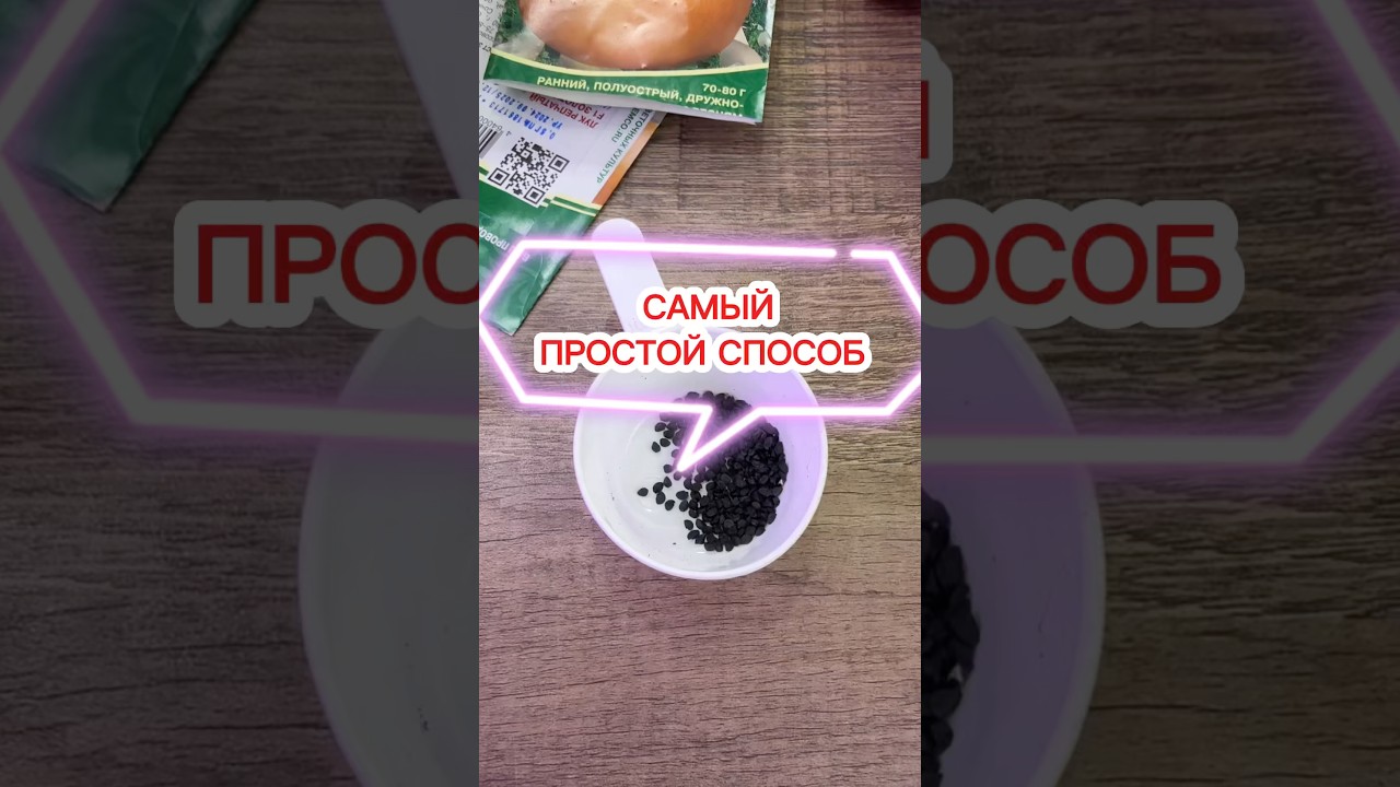 Сеем лук на рассаду - быстро, просто и без тягомотины😉! #Лук #рассадалука #лукизсемян #лукчернушка