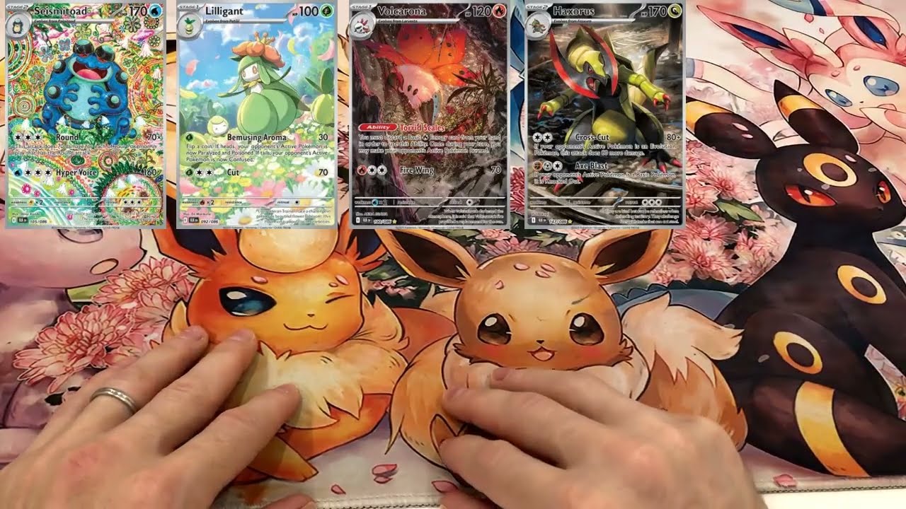 Bilan Pokemon s&eacute;rie Foudre Noire scell&eacute; et cartes
