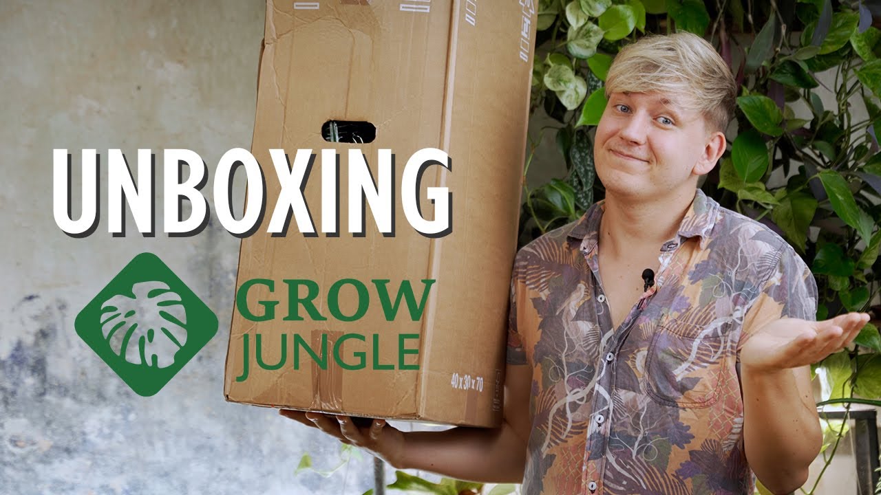 Spinnmilbenalarm ⚠️ Das h&auml;tte ich beim GrowJungle Unboxing NIE erwartet! | Plant Haul