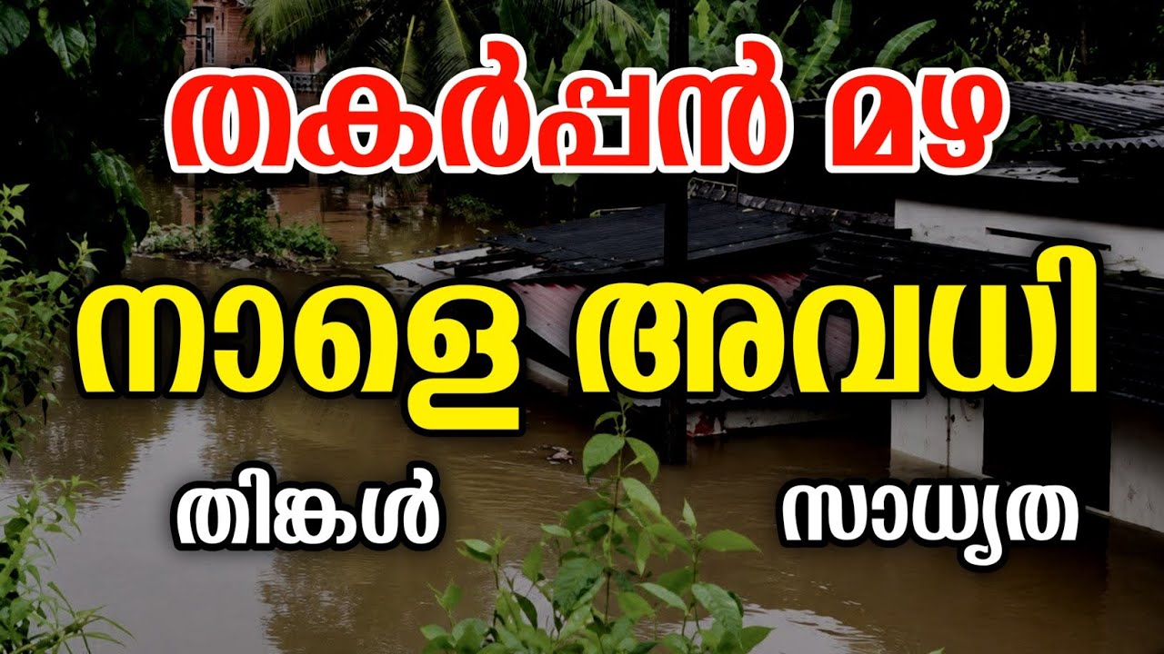 അവധി | Tomorrow school leave news | School holiday | മഴ | mazha | kerala rain today| university exam