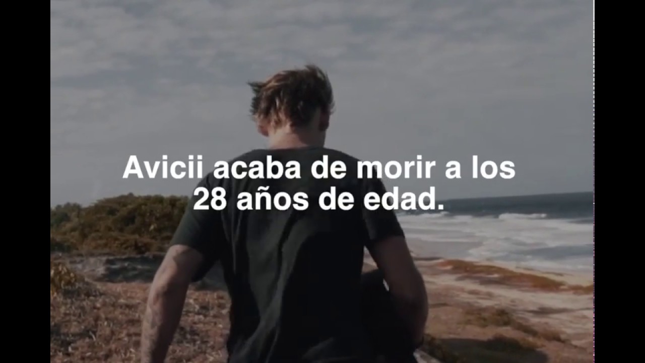 Lo que no sabías de Avicii